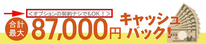『オプションの契約ナシでもOK』と記載