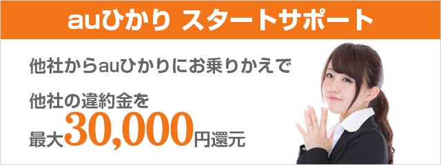 auひかり スタートサポート